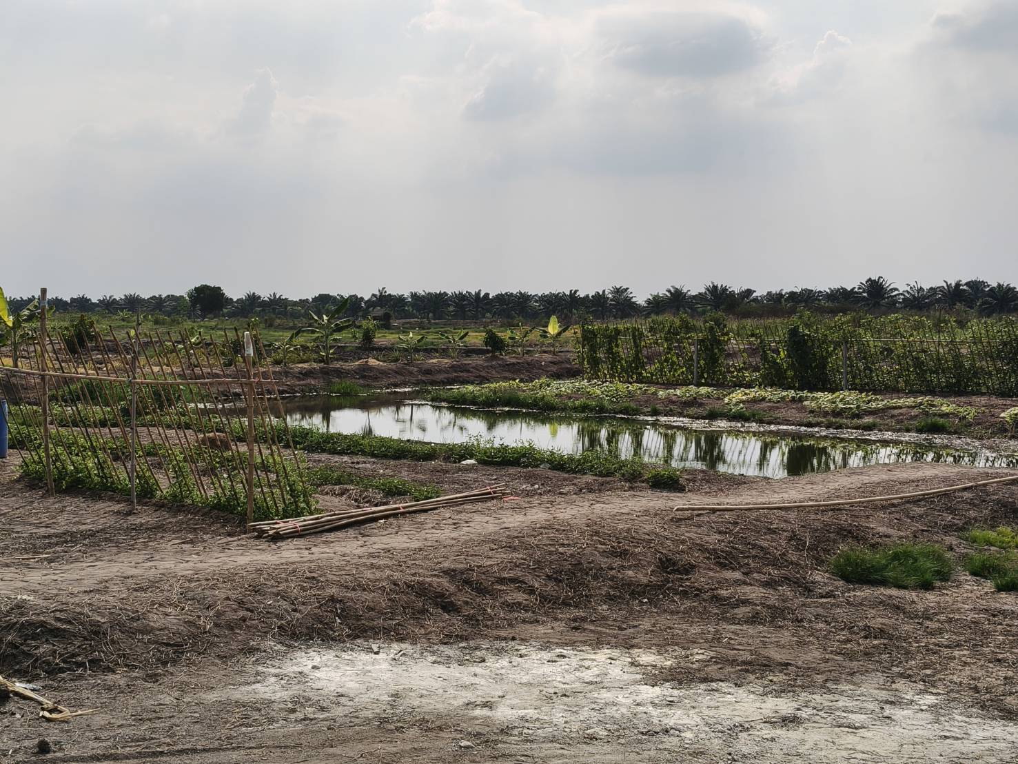 title - ผู้ตรวจราชการ ส.ป.ก. ประชุมตรวจติดตามความก้าวหน้าผลการดำเนินงานตามแผนการตรวจราชการ ประจำปีงบประมาณ พ.ศ. 2569 รอบที่ 1 เขตตรวจราชการที่ 1 จังหวัดพระนครศรีอยุธยา